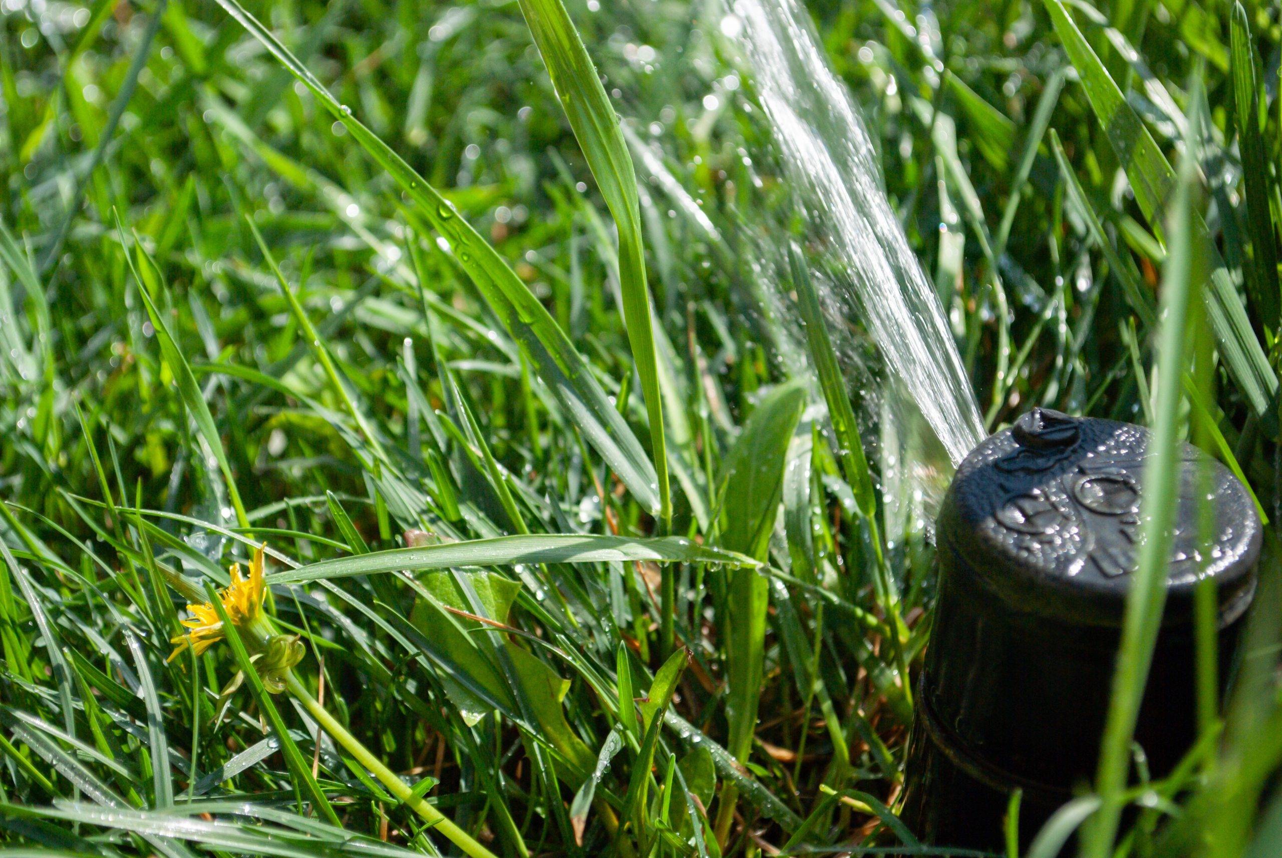 Mccain Lawn Service (1)