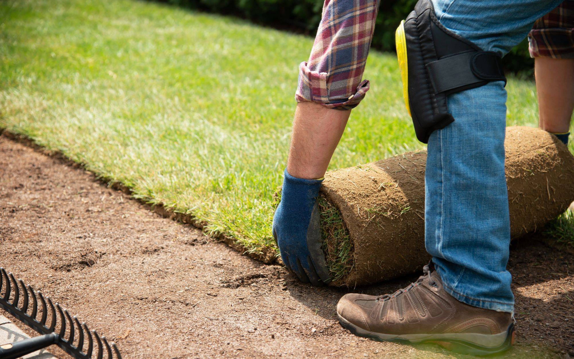 Mccain Lawn Service (3)