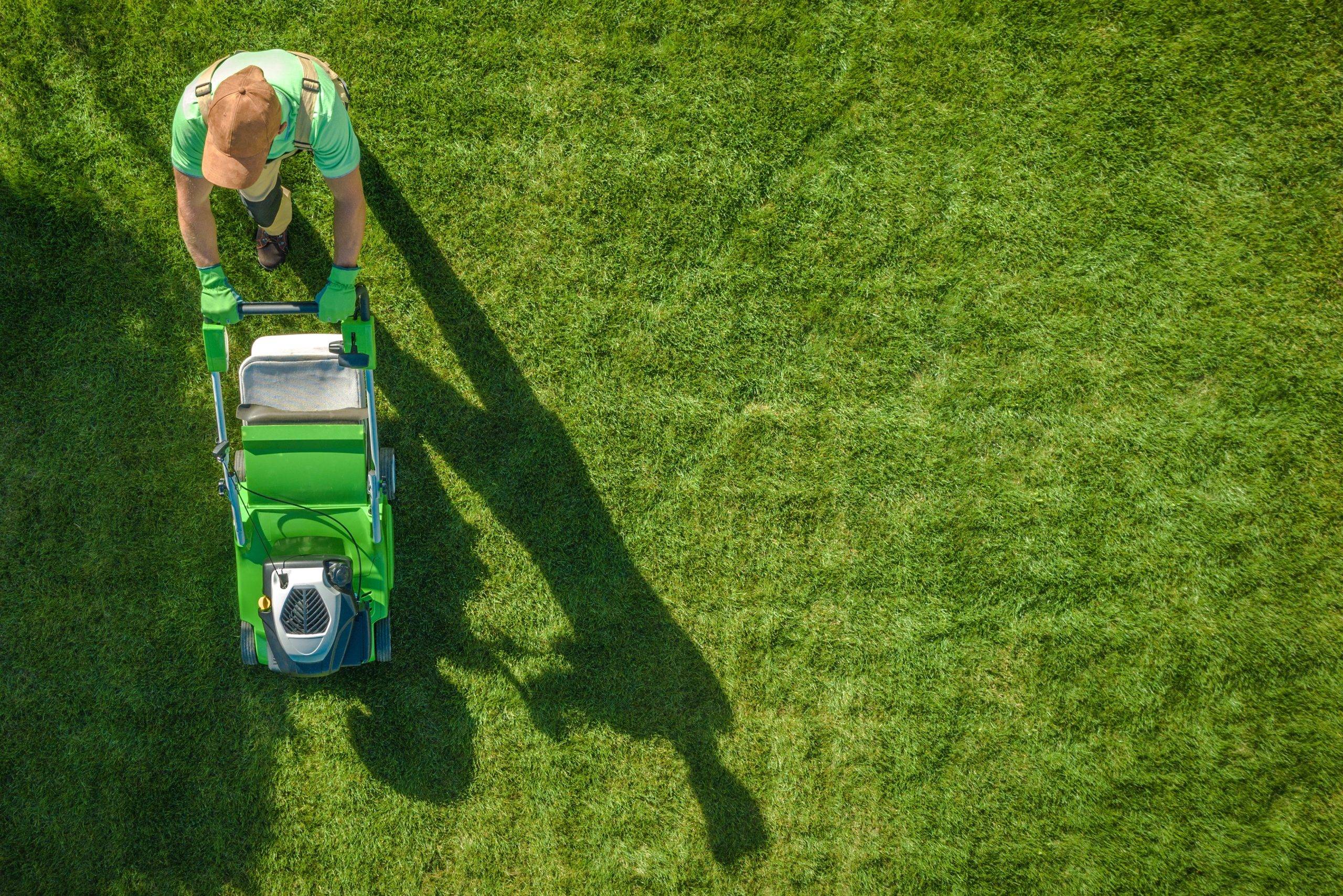 Mccain Lawn Service (4)